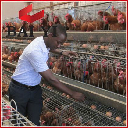 Good Design Chicken Cages With Best Quality And Competitive Price 2