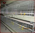 Good Design Chicken Cages With Best Quality And Competitive Price 3