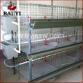 Good Design Chicken Cages With Best Quality And Competitive Price 4