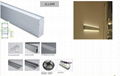 led wall light for linear lighting