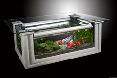 Painting frame table aquarium