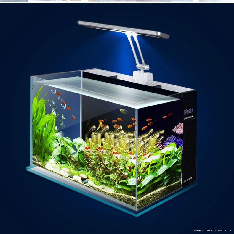 Mini glass fish tank