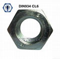 DIN934  Hex Nuts 1
