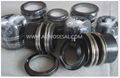 Mechanical Seal Replace AES B02 Vulcan 19 Burgmann Mg1 Roten Type L3