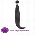 100% Virgin Human Hair Brazilian Straight 12 inches Hair Extension 1