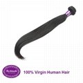 100% Virgin Human Hair Brazilian Straight 12 inches Hair Extension 3