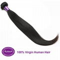 100% Virgin Human Hair Brazilian Straight 12 inches Hair Extension 5