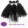 Virgin Human Hair Brazilian Curly 12 inches Hair Extension 1