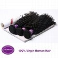 Virgin Human Hair Brazilian Curly 12 inches Hair Extension 3