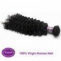 Virgin Human Hair Brazilian Curly 12 inches Hair Extension 5