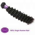 Virgin Human Hair Brazilian Deep Wave 12 inches Hair Extension 2