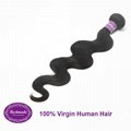Virgin Human Hair Brazilian Body Wave 12 inches Hair Extension 3