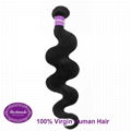 Virgin Human Hair Brazilian Body Wave 12 inches Hair Extension 2