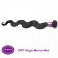 Virgin Human Hair Brazilian Body Wave 12 inches Hair Extension 1