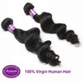 Virgin Human Hair Brazilian Loose Wave 12 inches Hair Extension 3