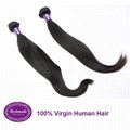 Virgin Human Hair Malaysian Straight 12-30 inches Remy Hair Extension 3