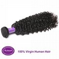 Virgin Human Hair Indian Curly 12-30 inches Remy Hair Extension