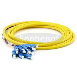 12 cores Fiber Optic Patch Pigtail cable  