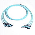 Multi-fiberTrunking Cable MPO-MPO Fiber Optic Assemblies Patch Cord 1
