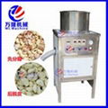 Garlic peeling garlic peeler machine 1