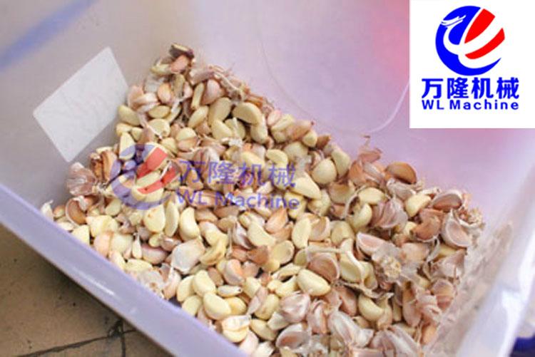 Garlic separator Garlic separating machine 3