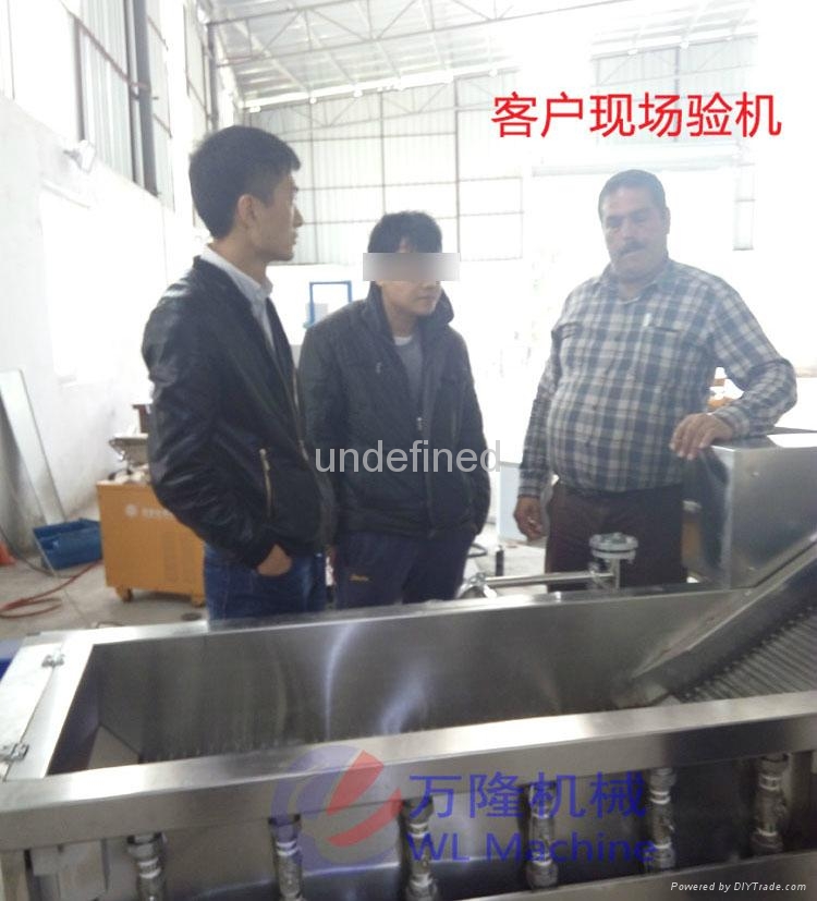全自动多功能气泡式洗菜清洗机设备 5