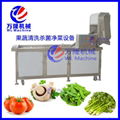 Vegetable Washing Machine