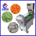 Multi-function dicephalous vegetable cutting machine