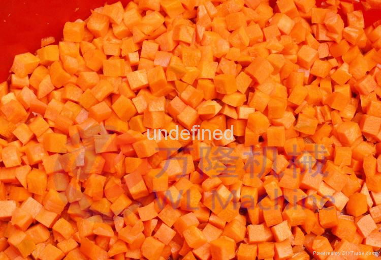  Automatic corm and root vegetable cutting machine 5