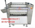 Small Type Root Vegetable Washing /Peeling Machine 2