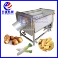 Large Type Root Vegetable Washing /Peeling Machine