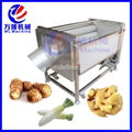 Large Type Root Vegetable Washing /Peeling Machine