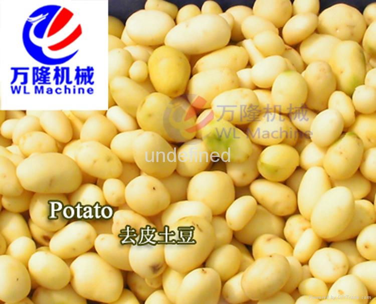 Large Type Root Vegetable Washing /Peeling Machine 5