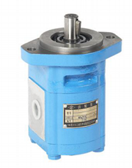 CMK1008* Series Hydraulic Oil Gear Motor 