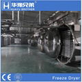 Hot Sale Industrial Fruit Dryer Price Machine Vegetable Food Vacuum Freeze Dryer 2