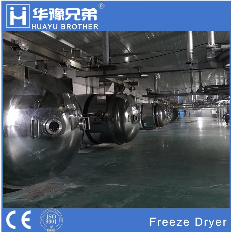 Industrial Food Fruit Vegetable Drying Lyophilizer Vacuum Freeze Dryer Machine 2