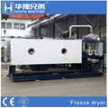 Fdl Vacuum Lyophilizer Machine Freeze Dryer Lyophilization Equipment Price