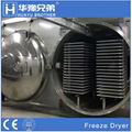 Lyophilisation High Power Saving Sublimation Freeze Drying Equipment 1