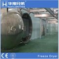 Industrial Fruit Drying Equipment Vacuum Freeze Dryer Machine Price