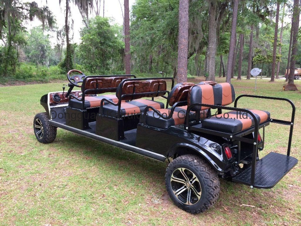 2009 Club Car Limo Gas Golf Cart (China Manufacturer) Golf Cart