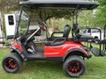 DRIVE G29 GAS GOLF CART  1