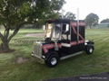 Golf cart truck