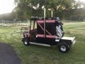 Golf cart truck  4
