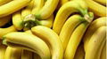 Cavendish Banana 1