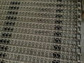 Stainless steel chain conveyor mesh belt 3