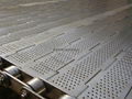 Stainless steel chain plate