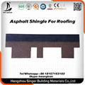 Colorful Building Material Asphalt Shingle Roof Tile 4