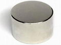 neodymium cylinder magnets