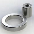 neodymium ring magnets