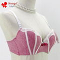 Top quality wemen cotton bra sexy push up bra with lace decoration 3